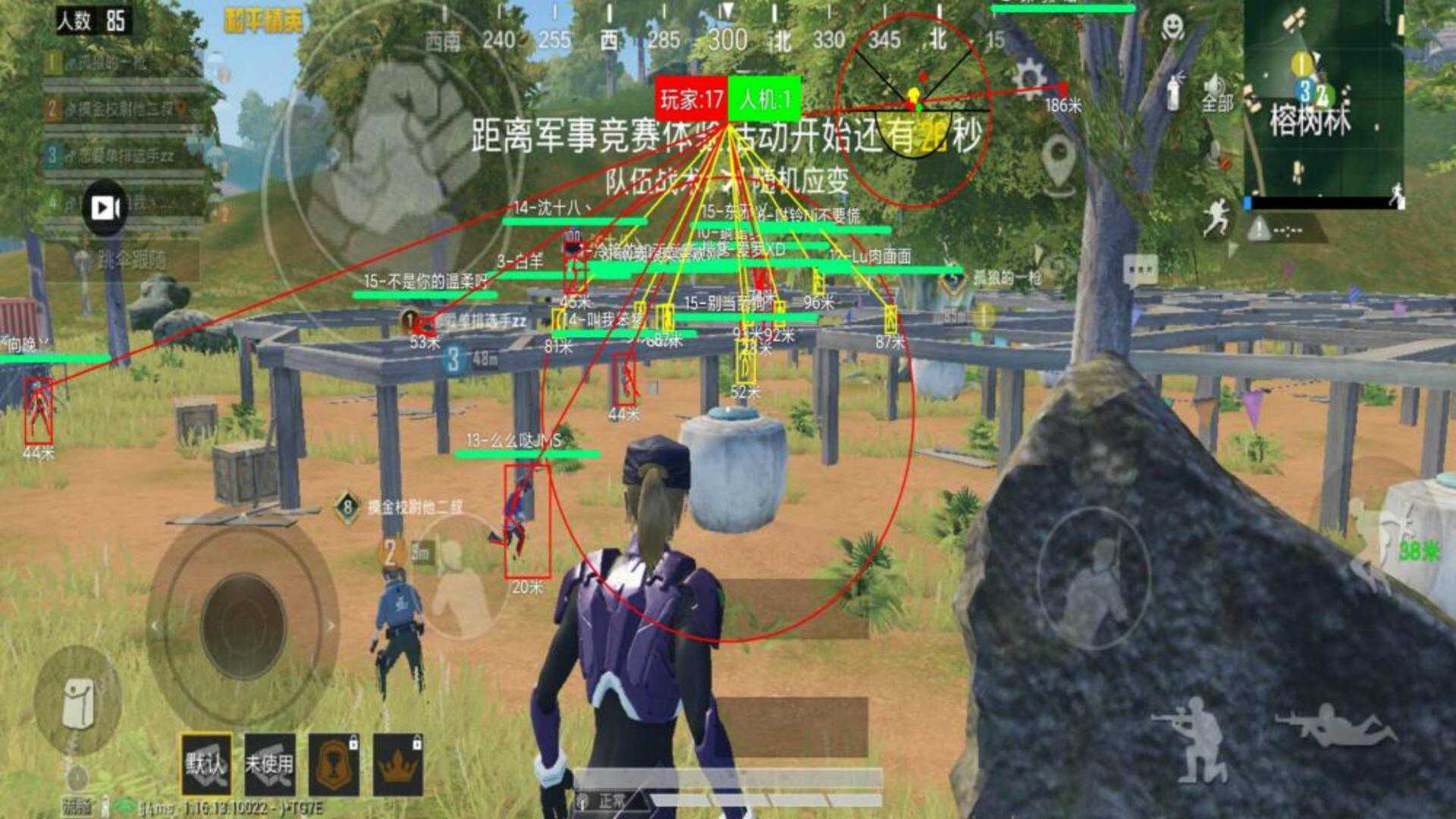 和平精英辅助【飞鸟】